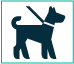 Animal de compagnie accepté