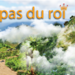 Dans les pas du Roi - Historic Haïti