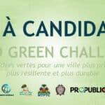 appel a candidature - Historic Haïti - Heritage